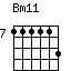 Bm11