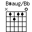 BsaugonBb.png